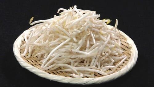 BEAN SPROUTS