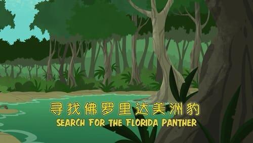 Search for the Florida Panther