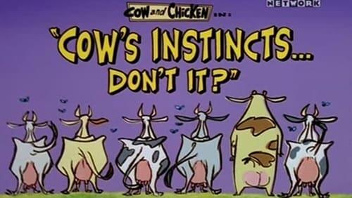 Cow's Instincts...Don't It?