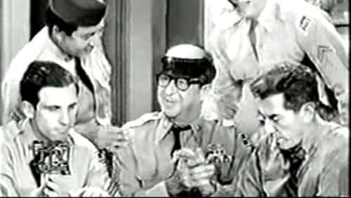 Bilko's Allergy