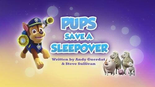 Pups Save a Sleepover