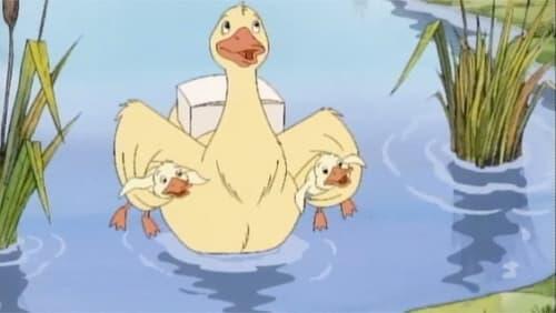 Duck, Baby Sitter