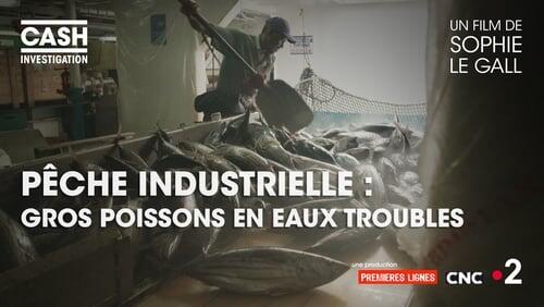 Pêche industrielle : gros poissons en eaux troubles