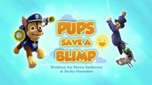 Pups Save a Blimp