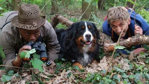 Rätselhafte Tiere - Bigfoot in Bärstadt