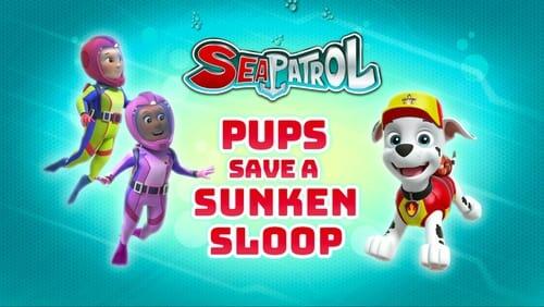 Sea Patrol: Pups Save the Sunken Sloop