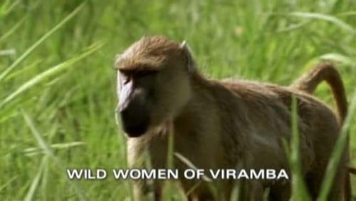 Wild Women of Viramba