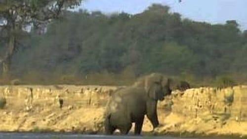 Vanishing Pools of the Zambezi