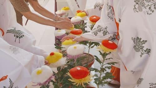 The Double Ninth Festival: Beautiful Chrysanthemums Grant Longevity