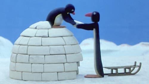 Pingu Builds an Igloo