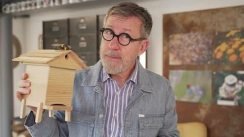 Les abeilles : dans les secrets de la ruche