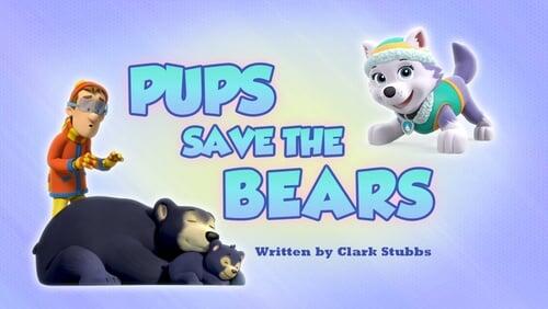 Pups Save the Bears