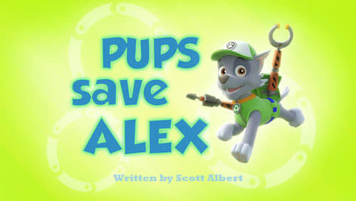 Pups Save Alex