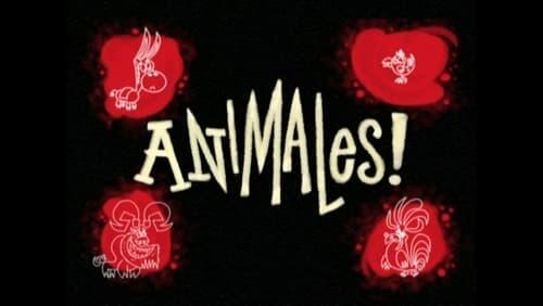 Animales!