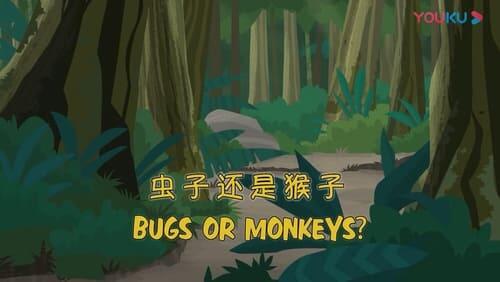 Bugs or Monkeys?