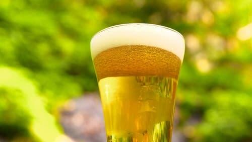 Beer and Japan's Drinking Culture