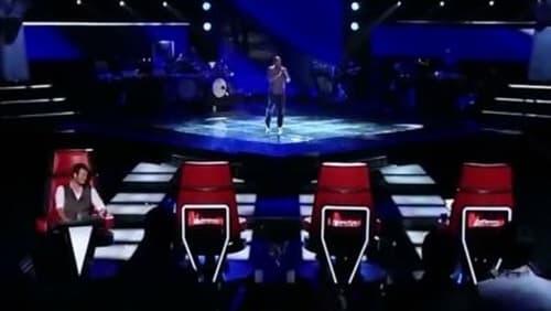 The Blind Auditions (1)