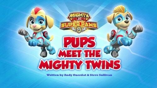 Mighty Pups, Super Paws: Pups Meet The Mighty Twins