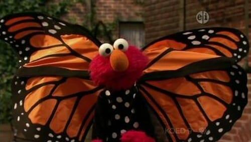 Elmo and the Monarch Butterfly