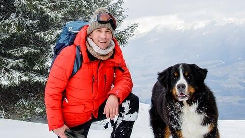 Berge - Verirrt im Schnee