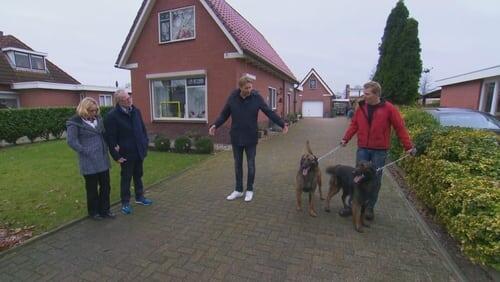 Aflevering 1