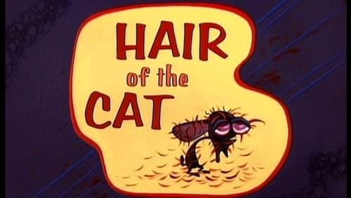 Hair of the Cat