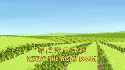 Where the Bison Roam