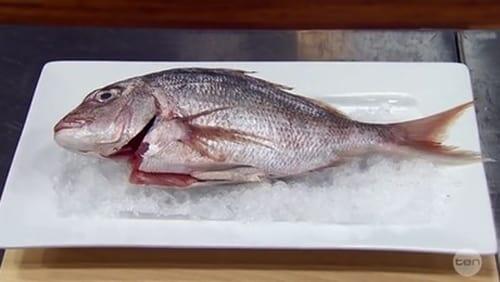 Elimination Challenge: Three Dishes from One Snapper