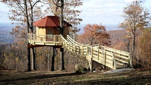 Black Bear Bungalow