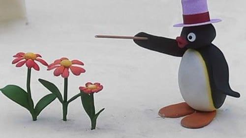 Pingu's Wish