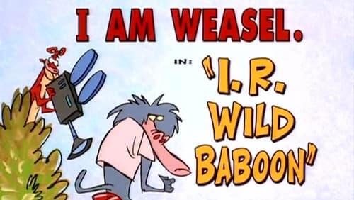 I.R. Wild Baboon