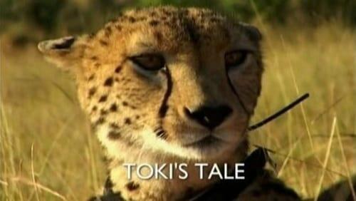 Toki's Tale