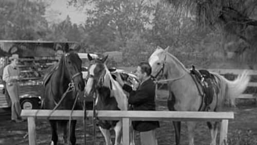 Mister Ed's Blues