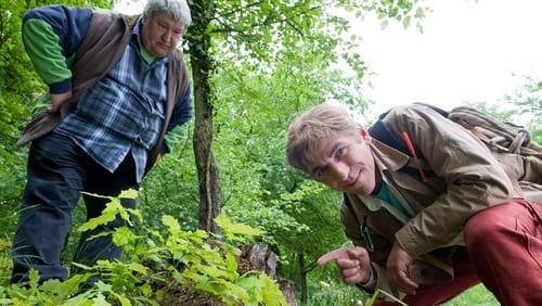 Geocaching - Schatzjagd mit dem GPS