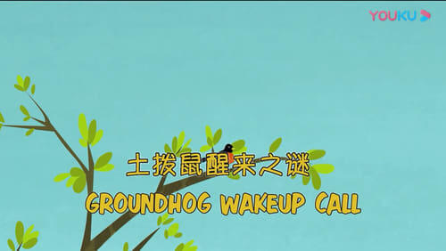 Groundhog Wake Up Call