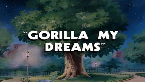 Gorilla My Dreams