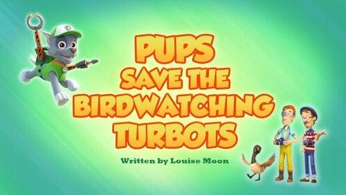 Pups Save the Birdwatching Turbots