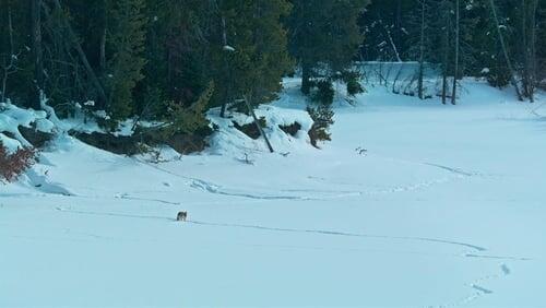 Grand Teton