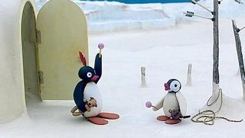 Pingu and the Doll