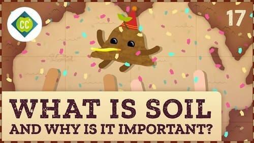 What is Soil (and Why is it Important?)