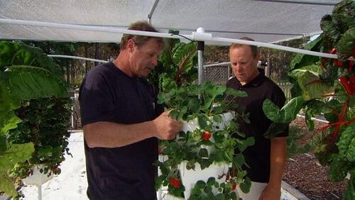 Hydroponic Garden; Hot- and Cold-Water Outdoor Faucet