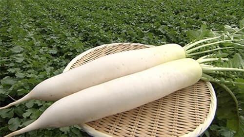 Daikon