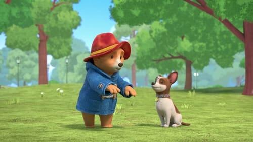 Paddington Meets Lucky