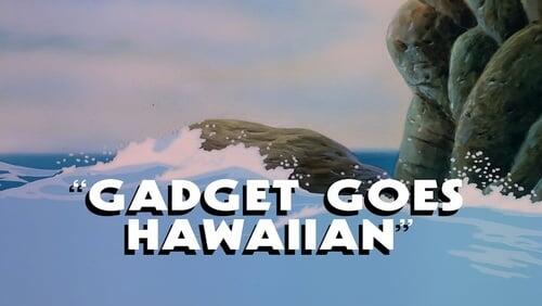 Gadget Goes Hawaiian