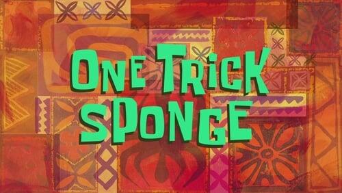 One Trick Sponge