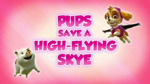 Pups Save a High Flying Skye