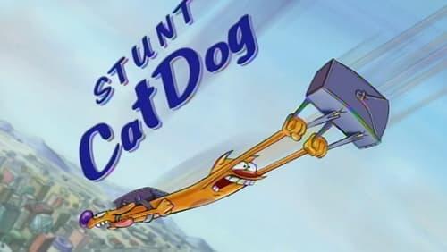 Stunt CatDog