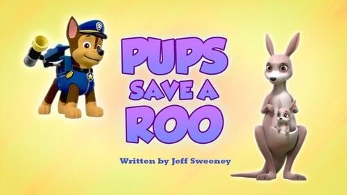 Pups Save a Roo