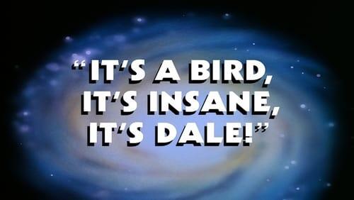 It's a Bird, It's Insane, It's Dale!