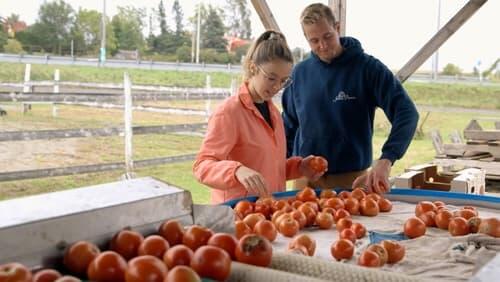 Dernière journée à la ferme avant les annonces